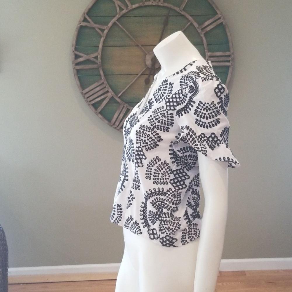 Zara Embroidered Ruffle Sleeve Top - Picture 3 of 11